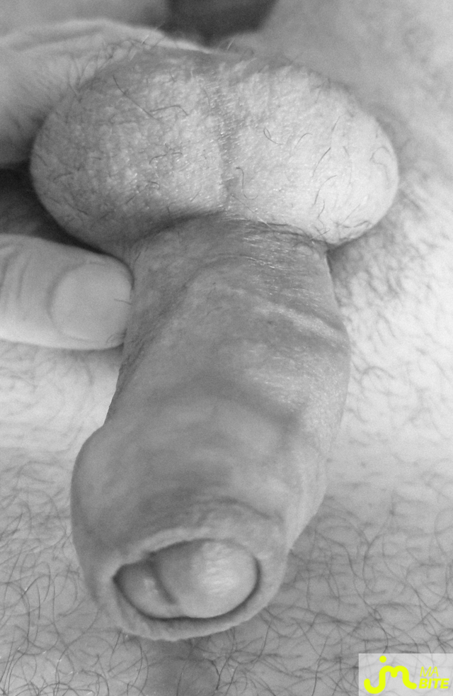 Photos de bites : En noir et blanc
