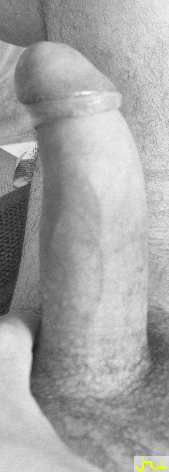 bites de coquindu766