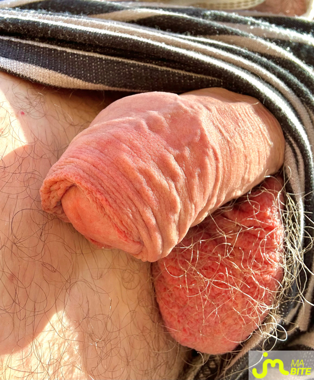 Photos de bites : Sur la terrasse 