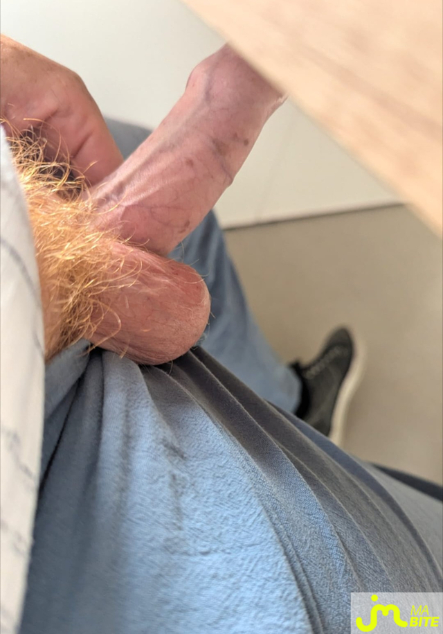 Photos de bites : Come back