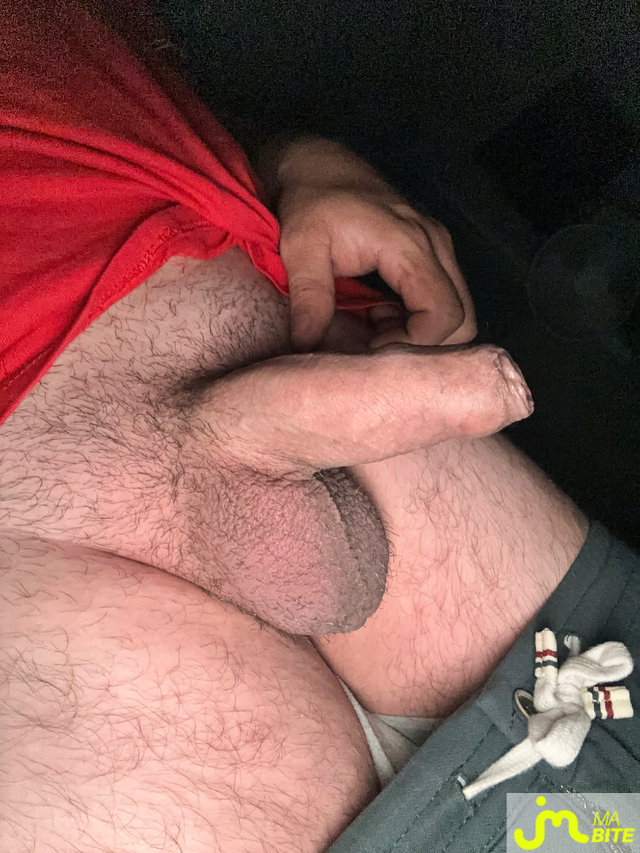 bites de Pierre41000