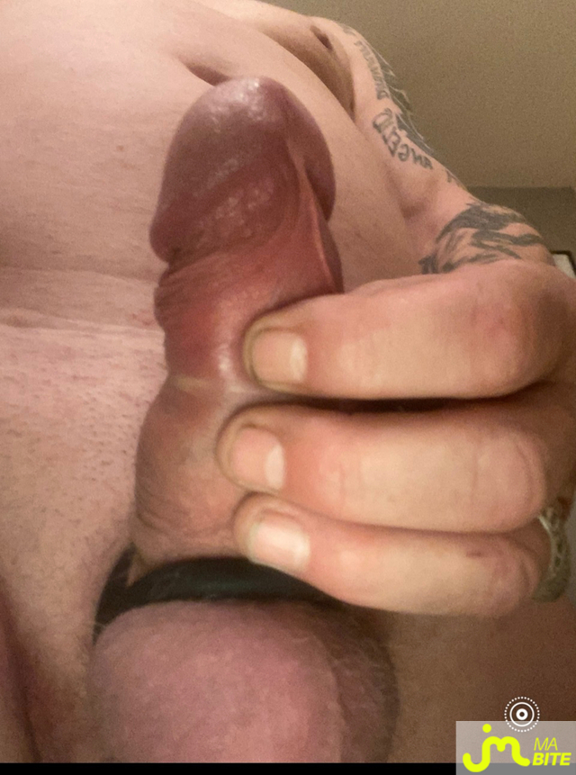 bites de megatoy