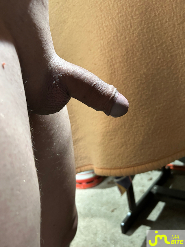 bites de Ylux