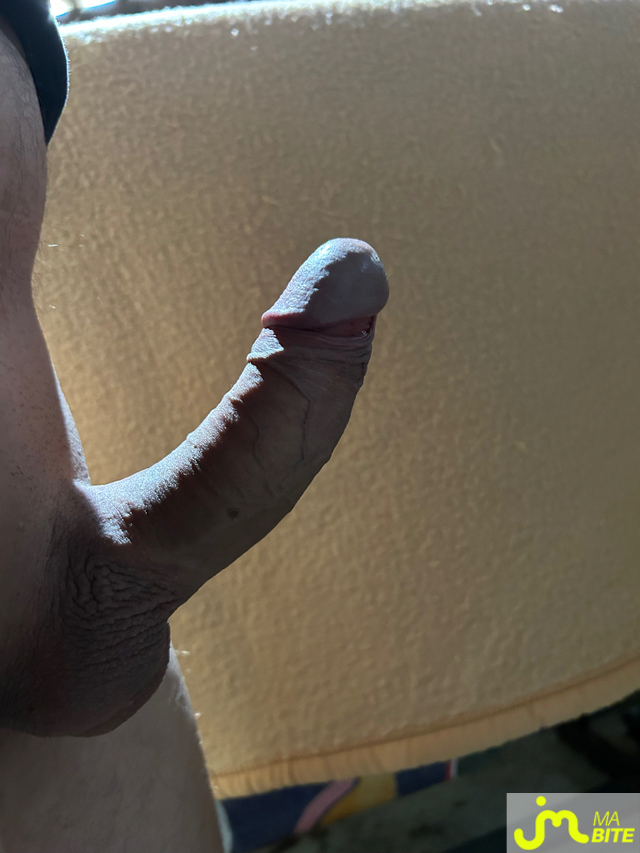 bites de Ylux