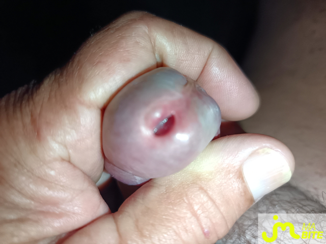 Photos de bites : La bite toujours la bite