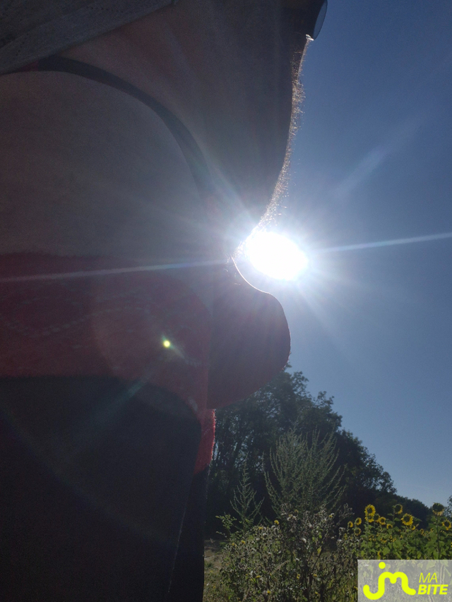 bites de Petitsexe21