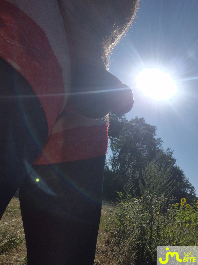 bites de Petitsexe21