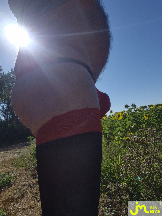 bites de Petitsexe21