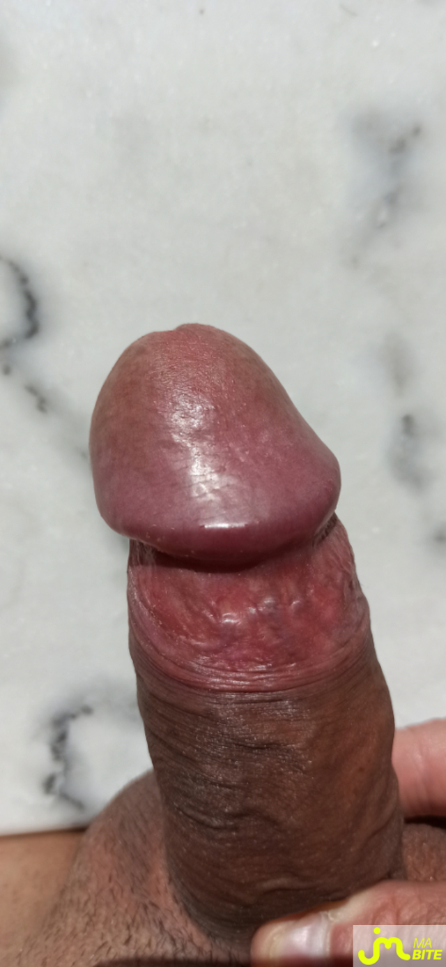 bites de Mestitspieds