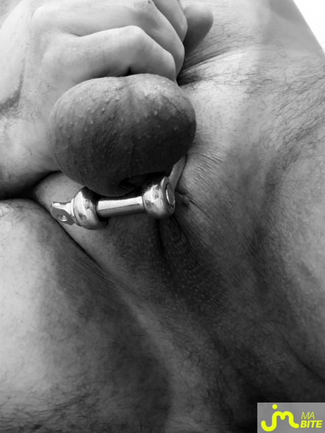 bites de Mau6950