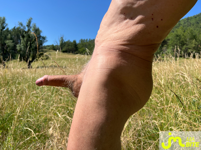 bites de vertvif