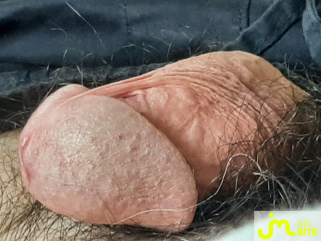 bites de Superbo