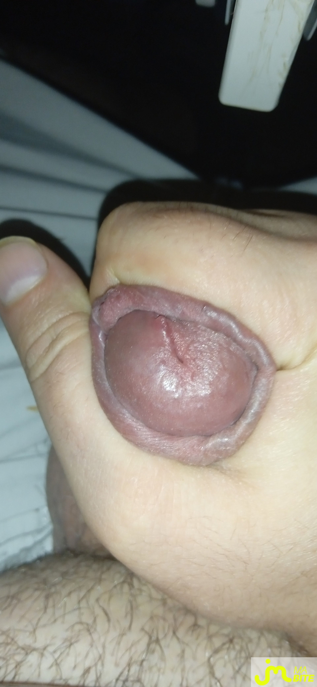 bites de J'aimelabiteetpiss