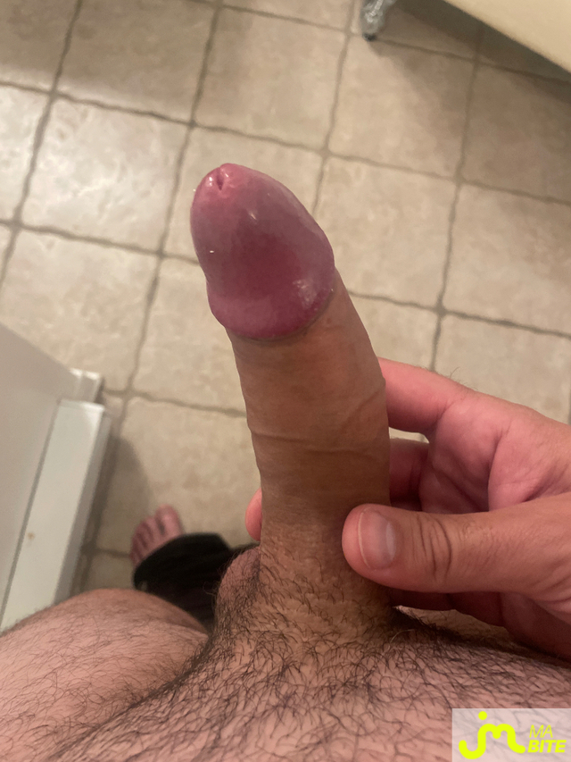 bites de Treza18
