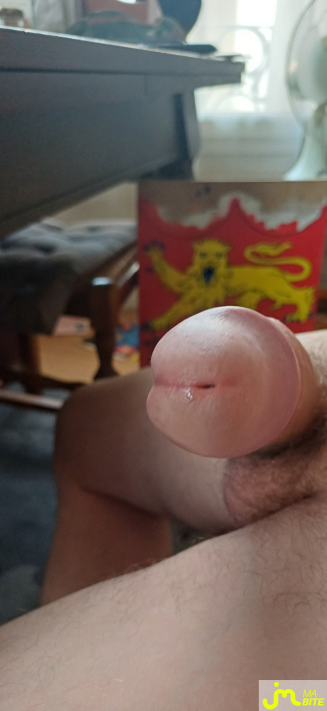 bites de LePriape1070