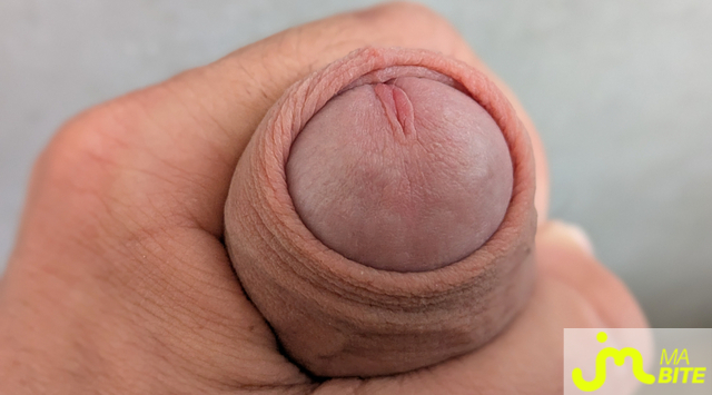 bites de Erik1490