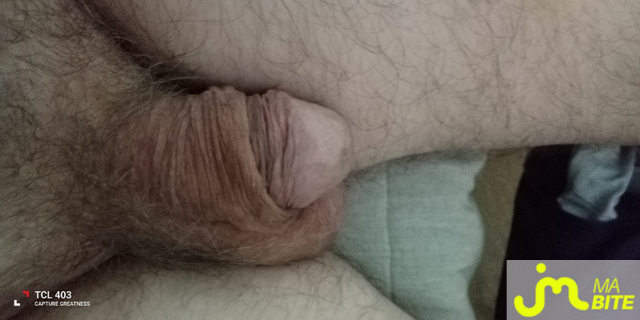 bites de DJANG 