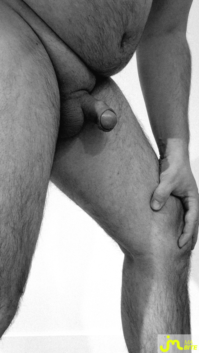 bites de Poly-pocket