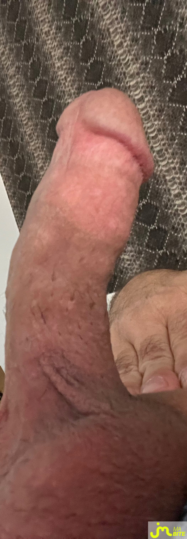Photos de bites : R&eacute;veil torride 