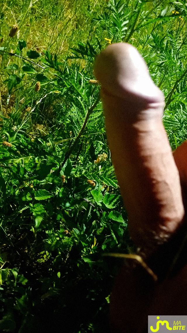 bites de LePriape1070