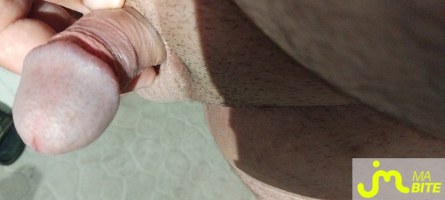 bites de Ans 974