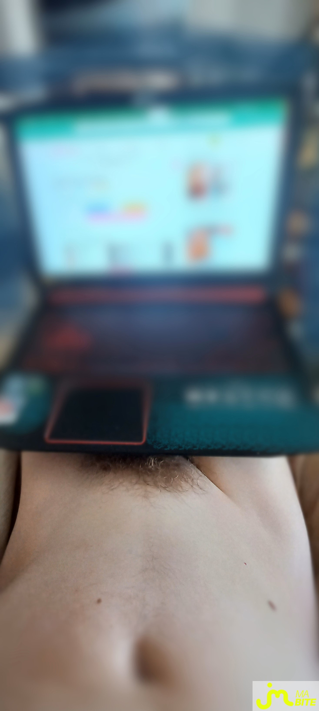 Photos de bites : en repos