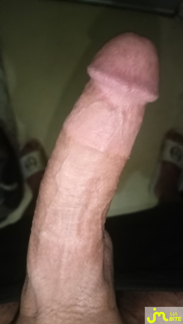 bites de Tedd28