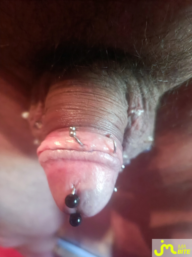 bites de bite-bijoux