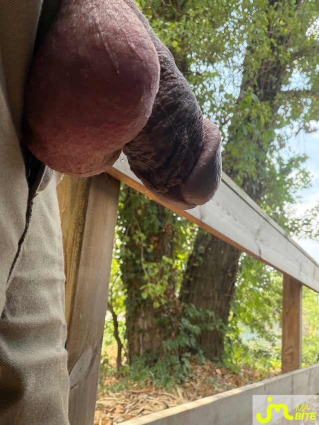 bites de Mau6950