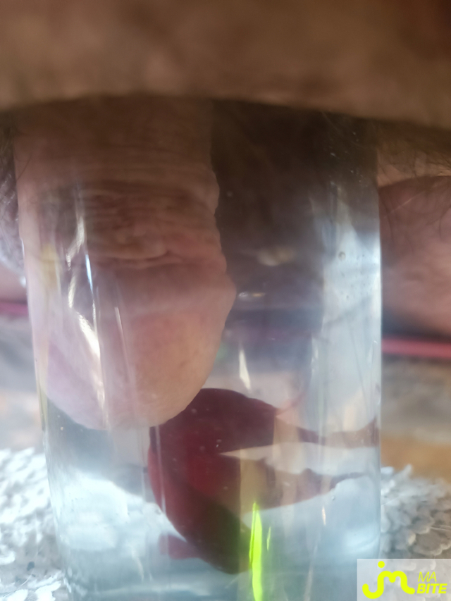 bites de bite-bijoux