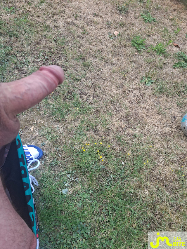 bites de Champignon76