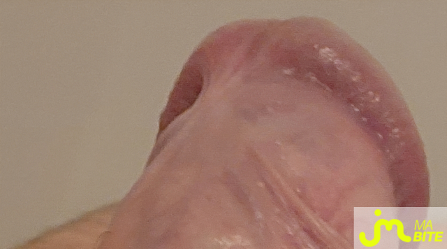 bites de LeCochonCoquin