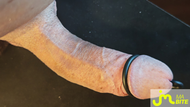 bites de Cock Sounder