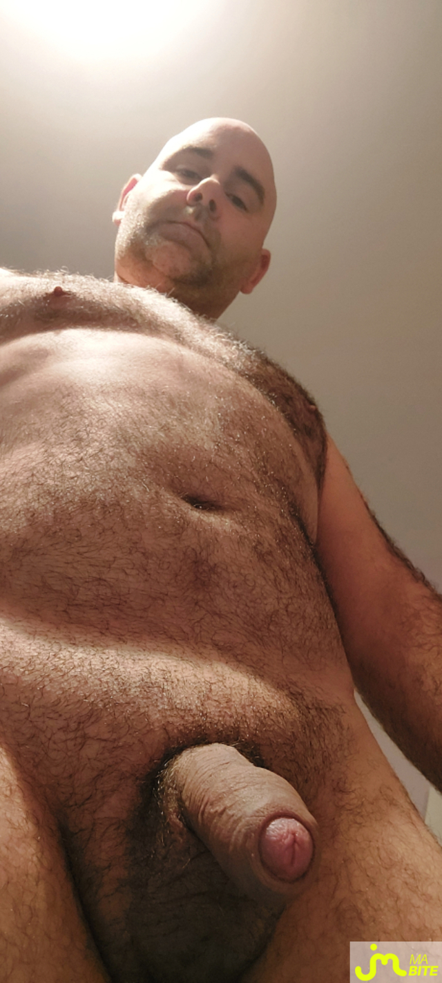 bites de Seb06