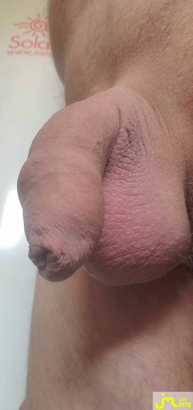 bites de Queute19
