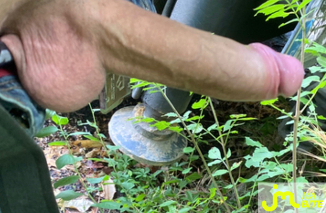 bites de Benoboxingexhib