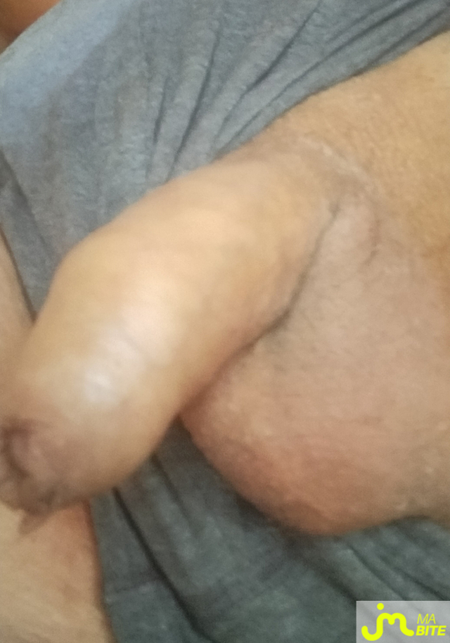 bites de zeub84