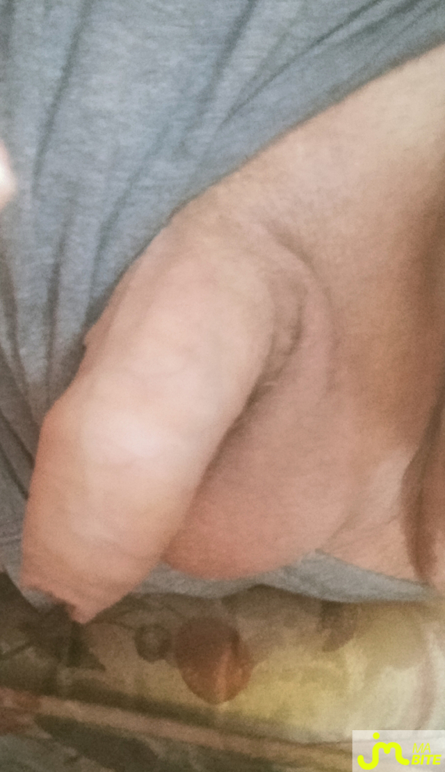 bites de zeub84