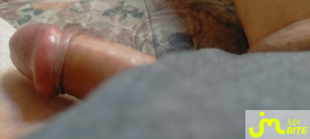 bites de zeub84