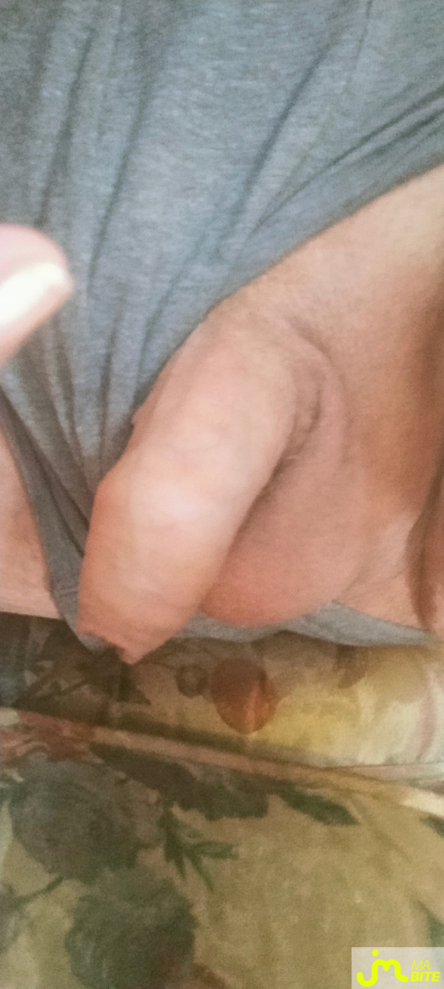 bites de zeub84