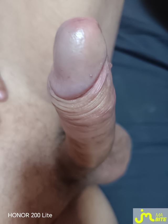 bites de lion35