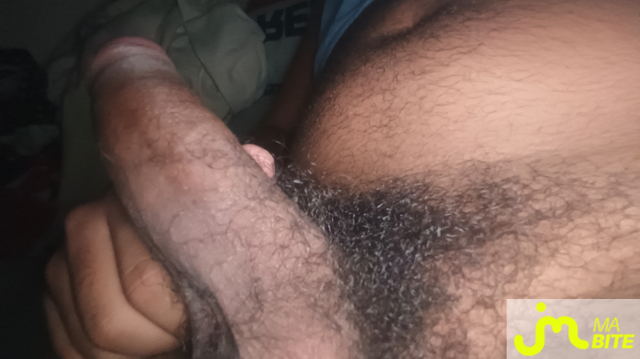 bites de fly9741000