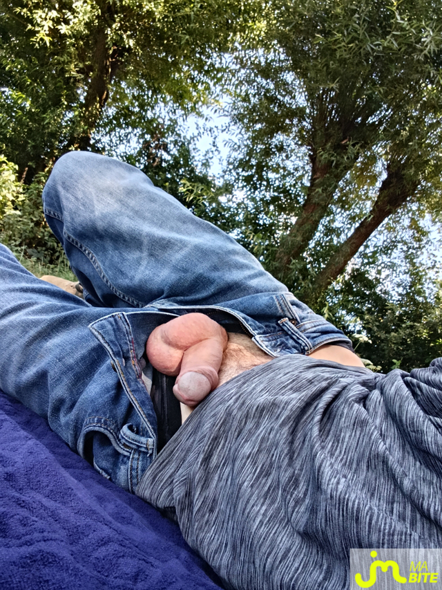 bites de ptitnormand