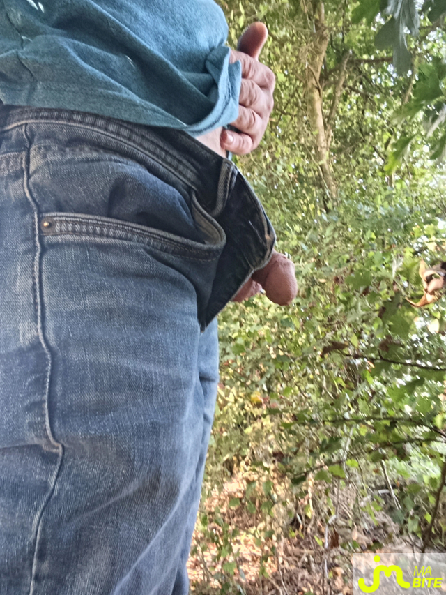 bites de ptitnormand