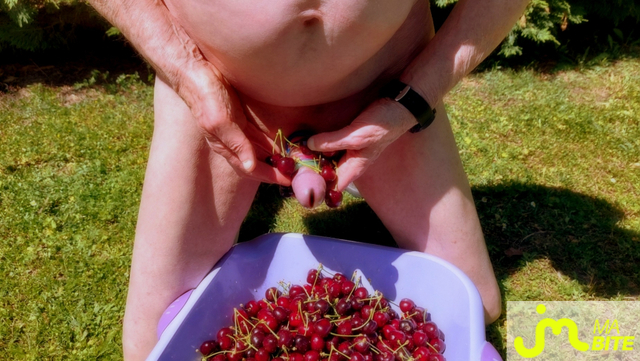 bites de Vxm&acirc;lebi46