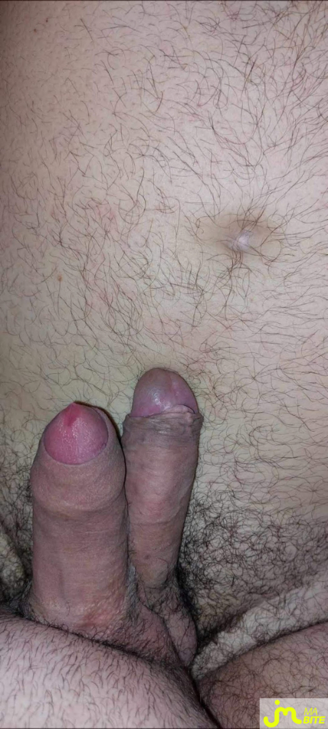 bites de Seb06