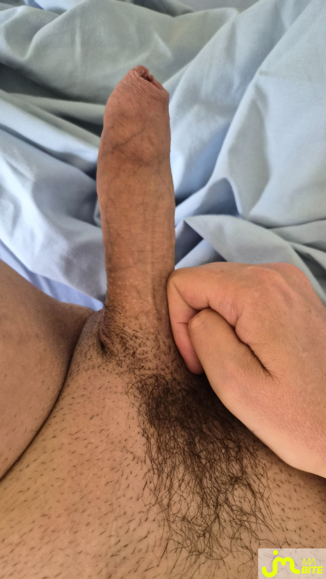 bites de Lamboman2