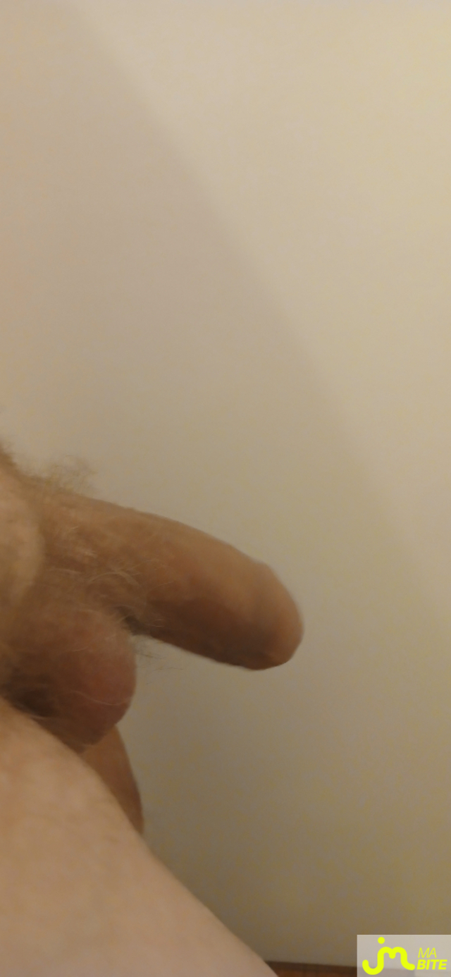 bites de Tommy40