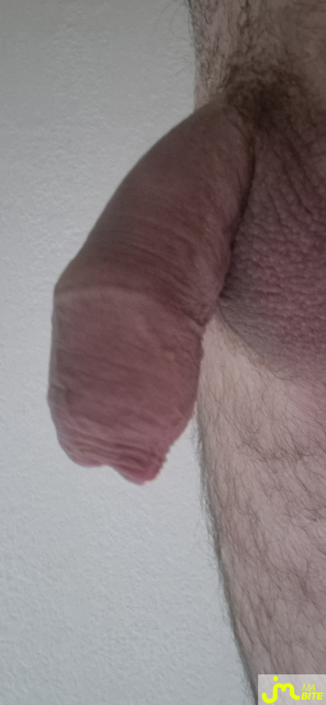 bites de Bobite6250