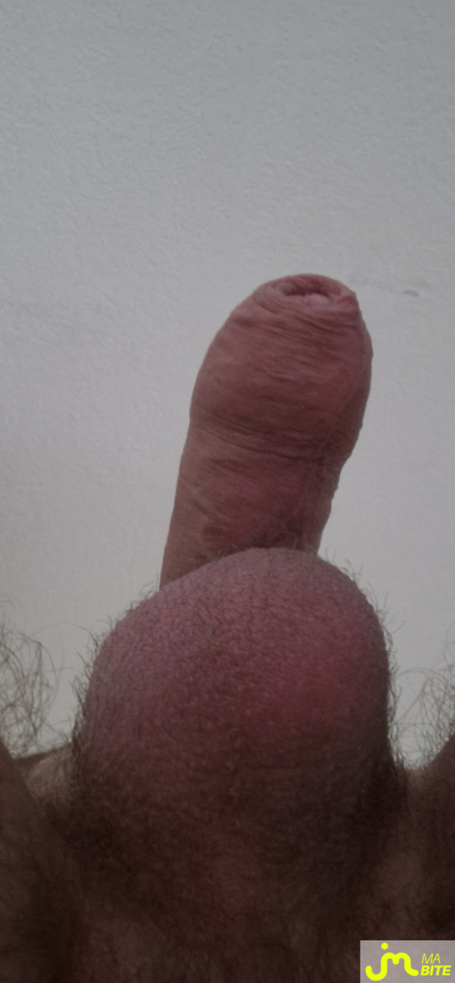 bites de Bobite6250